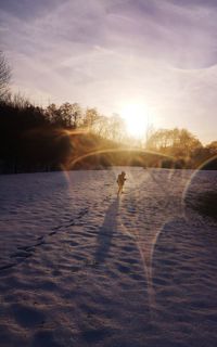 Silhouette girl standing on snow field against sky during sunset