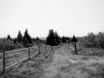 Trees on field against clear sky