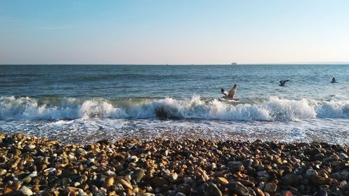 Scenic view of sea against clear sky