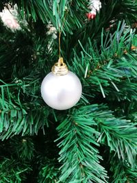 Close-up of christmas tree hanging at night