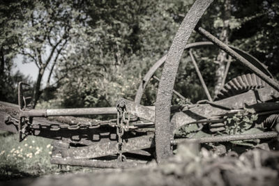 Close-up of rusty metal