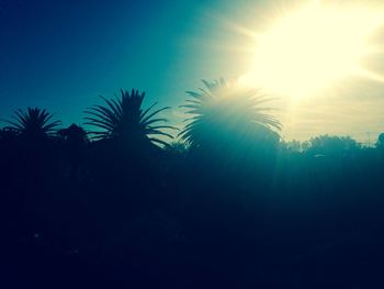 Silhouette of palm trees against blue sky