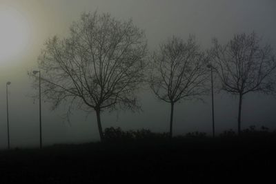 Silhouette bare trees on field against sky at dusk