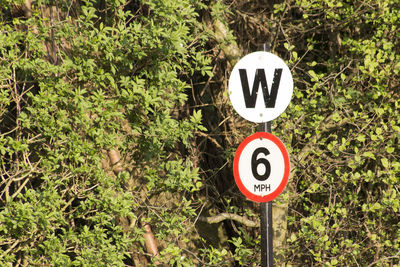 Information sign on road amidst plants