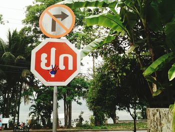 Low angle view of information sign on tree