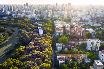 High angle view of trees and buildings in city