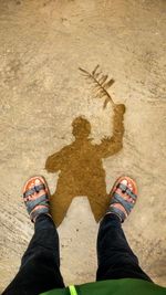 Photo of a shadow of a man with leave and legs with slippers. shadow trying to interact with reality