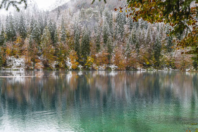 Scenic view of lake during autumn