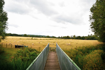 Boardwalk leading towards landscape against sky