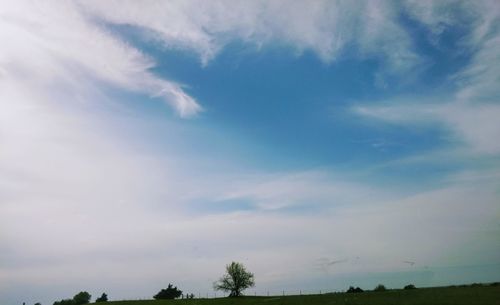 Low angle view of trees against sky