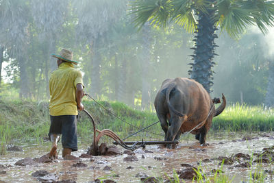 Side view of man working in forest