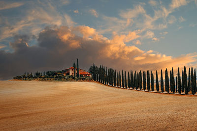 Countryside landscape around pienza tuscany in italy, val d orcia, during sunset 