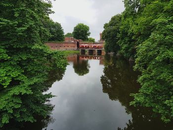 Reflection of trees in water against sky