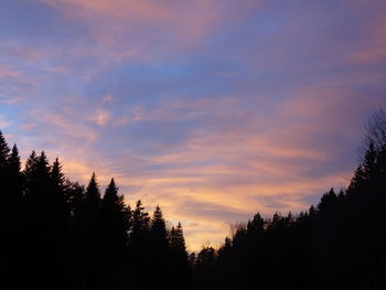 Silhouette of trees against dramatic sky