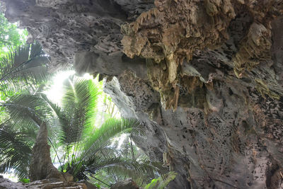 Low angle view of rock formation