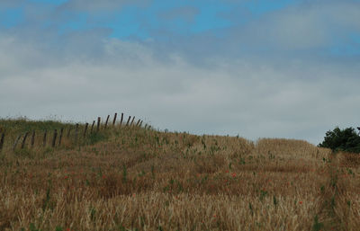 Scenic view of field against cloudy sky