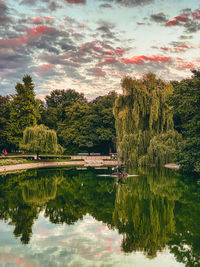 reflection