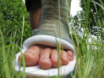 Low section of person with hand on grass