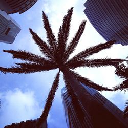 Low angle view of built structure against blue sky