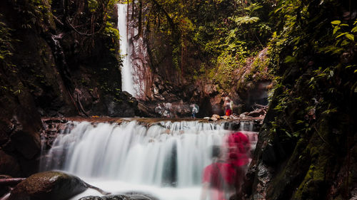 Scenic view of waterfall in forest