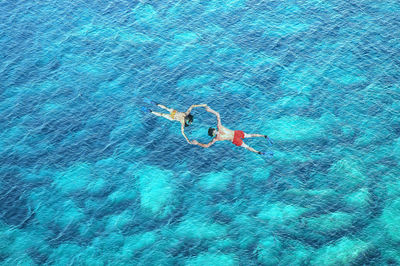 High angle view of jellyfish swimming underwater