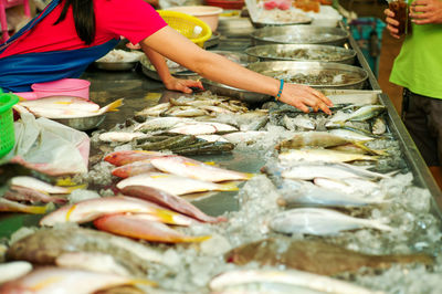 Selective focus on hands of seller pick the raw fresh fish on the tray