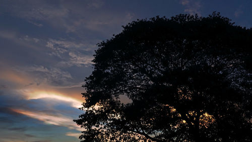 Low angle view of silhouette tree against sky during sunset