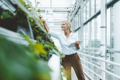 Scientist with tablet pc analyzing plants in greenhouse