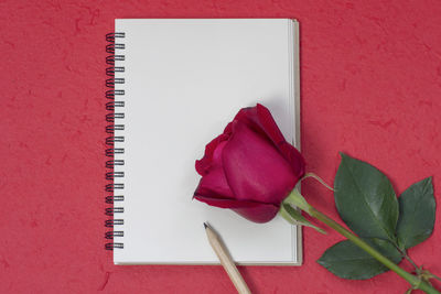 Directly above shot of rose with pencil on blank book