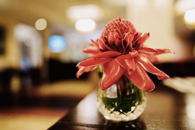 Close-up of red flower vase on table at home