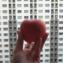 Midsection of person holding apple against building