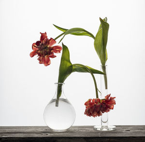 Close-up of wilted flowers in vase on table