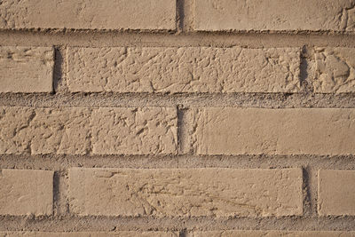 The wall is made of white bricks as a background.