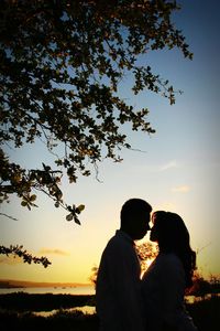 Silhouette of trees at sunset