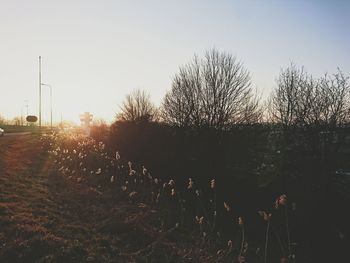 Water drops against sky during sunset