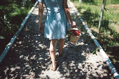 Low section of woman walking with cherries in basket on footpath