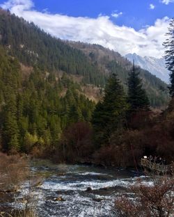 Scenic view of tree mountains against sky