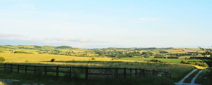 Scenic view of agricultural field against sky
