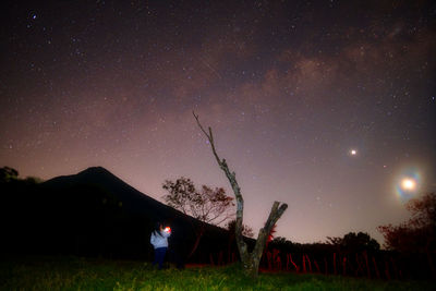 Low angle view of trees against sky at night