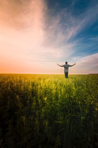 Rear view of man with arms outstretched standing at farm against sky