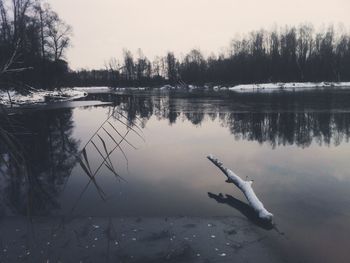 Reflection of trees in lake