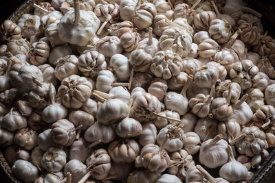 High angle view of eggs for sale in market