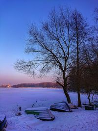 Bare tree on snow covered field against sky