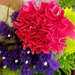 Close-up of red roses