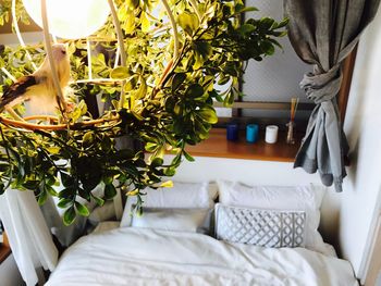 Close-up of plants over bed at home