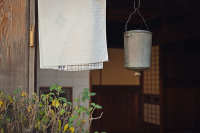 Close-up of potted plant hanging outside house against building