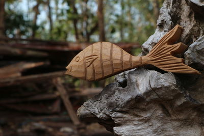 Close-up of leaf hanging on tree trunk in forest