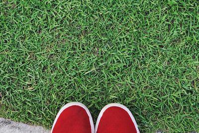 Low section of person standing on grassy field