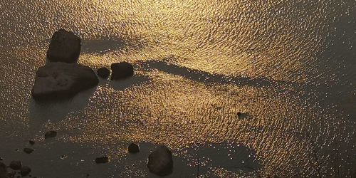 High angle view of woman standing on wet sand