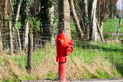 Red fire hydrant against trees